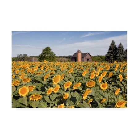 Monte Nagler 'Sunflowers And Barn Owosso Mi' Canvas Art,12x19